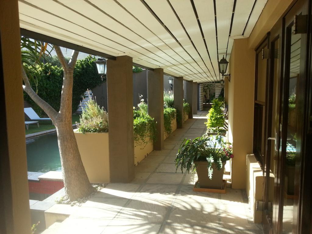 Aloe Guest House Hermanus Bagian luar foto