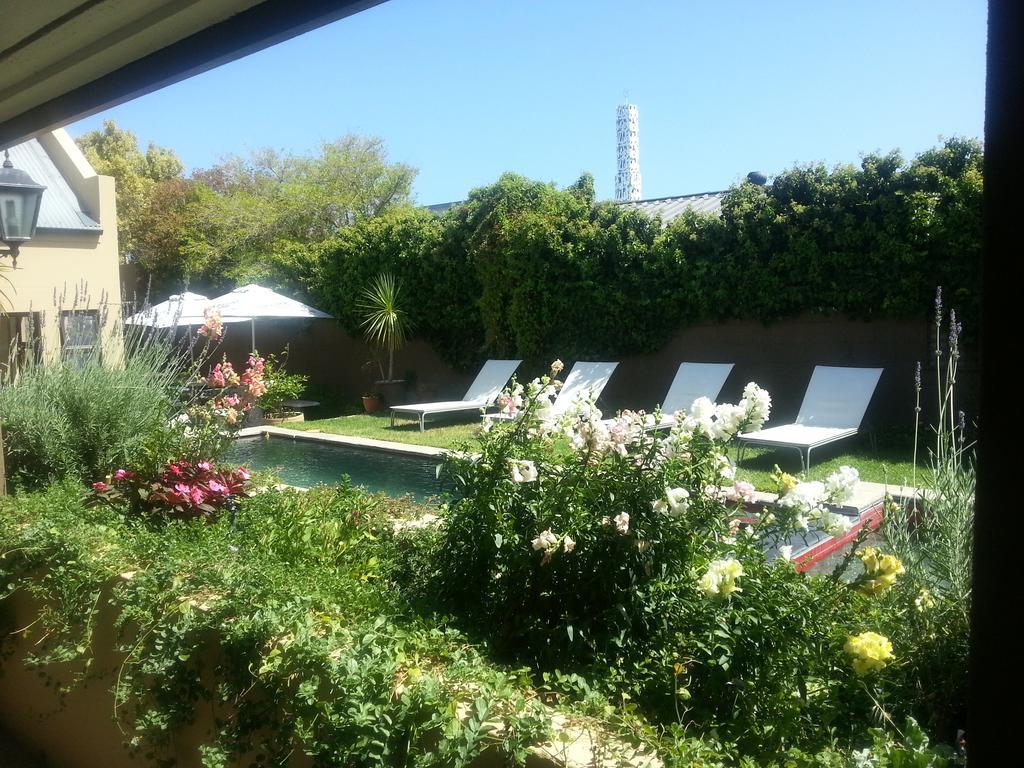 Aloe Guest House Hermanus Bagian luar foto